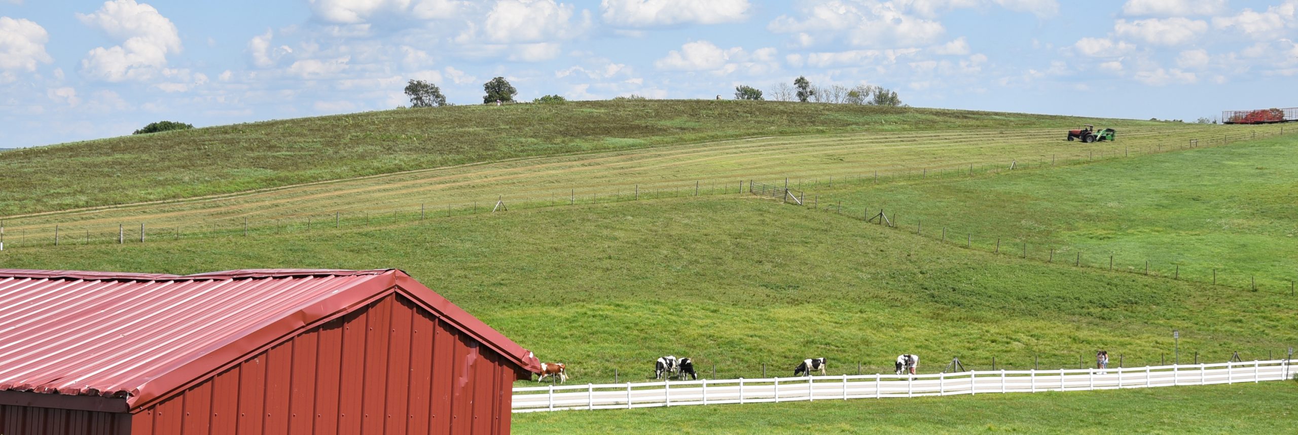 A view of Horsebarn hill